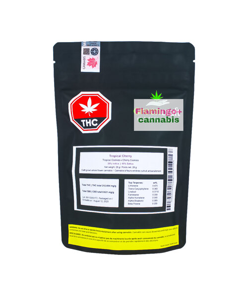 GreenCraft Tropical Cherry Craft Sativa Flower 28G