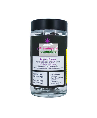 GreenCraft Cannabis GreenCraft Cannabis Tropical Cherry Craft Sativa Flower 7G GreenCraft Cannabis GreenCraft Cannabis Tropical Cherry Craft Sativa Flower 7G