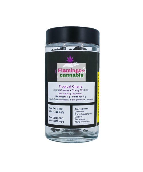 GreenCraft Cannabis Tropical Cherry Craft Sativa Flower 7G