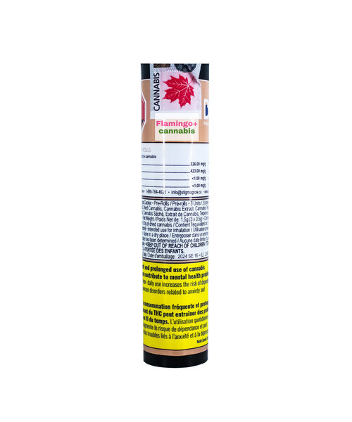 Dab Bods Sugar CKS Resin Infused Pre-Rolls 3X0.5G