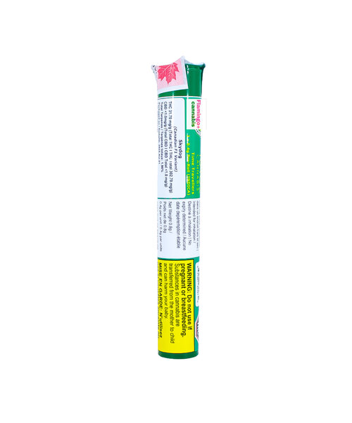 Space Race Time Travellers Indica Pre-Rolls 2X0.4G
