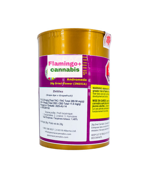 Space Race Andromeda Indica Flower 28G