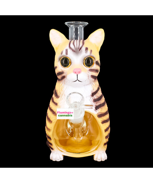 LIT 8.75" Cat Water Pipe