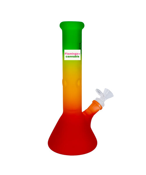 Red Eye Glass 10" Frosted Beaker Bong Rasta