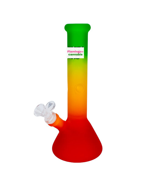 Red Eye Glass 10" Frosted Beaker Bong Rasta