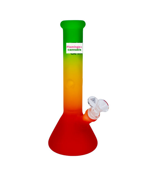 Red Eye Glass 10" Frosted Beaker Bong Rasta