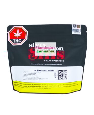 SIXTY SEVEN SINS Sixty Seven Sins No Biggie Just Smallz Craft Hybrid Flower 14G