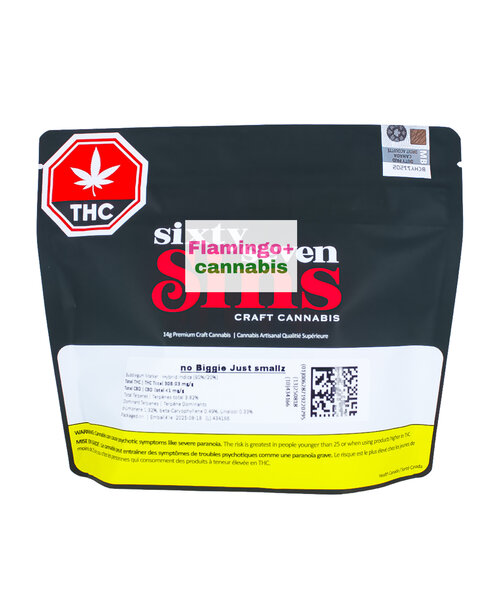 Sixty Seven Sins No Biggie Just Smallz Craft Hybrid Flower 14G
