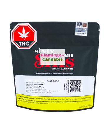 SIXTY SEVEN SINS Sixty Seven Sins Gas Face Craft Indica Flower 3.5G