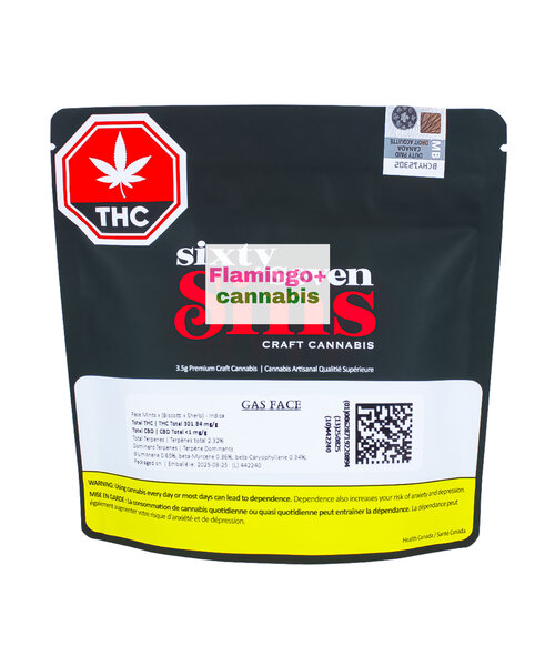 Sixty Seven Sins Gas Face Craft Indica Flower 3.5G