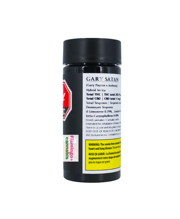 SIXTY SEVEN SINS Sixty Seven Sins Gary Satan Craft Hybrid Pre-Rolls 7X0.5G SIXTY SEVEN SINS Sixty Seven Sins Gary Satan Craft Hybrid Pre-Rolls 7X0.5G