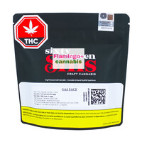 Sixty Seven Sins Gas Face Craft Indica Flower 3.5G