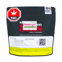 Sixty Seven Sins Expo67 Craft Hybrid Flower 3.5G