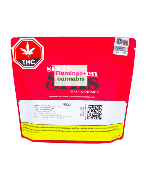 Sixty Seven Sins EXPO67 Craft Hybrid Flower 14G