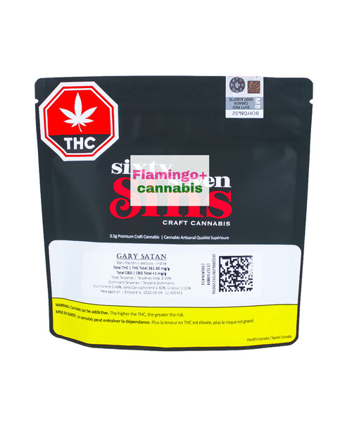 Sixty Seven Sins Gary Satan Craft Hybrid Flower 3.5G
