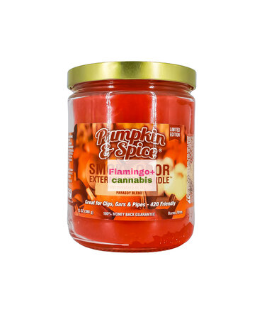 Smoke Odor Smoke Odor 13oz Candle Pumpkin Spice Smoke Odor Smoke Odor 13oz Candle Pumpkin Spice