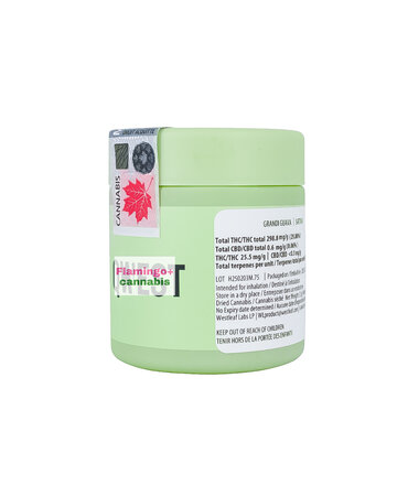 qwest Qwest Grandi Guava Sativa Flower 3.5G qwest Qwest Grandi Guava Sativa Flower 3.5G