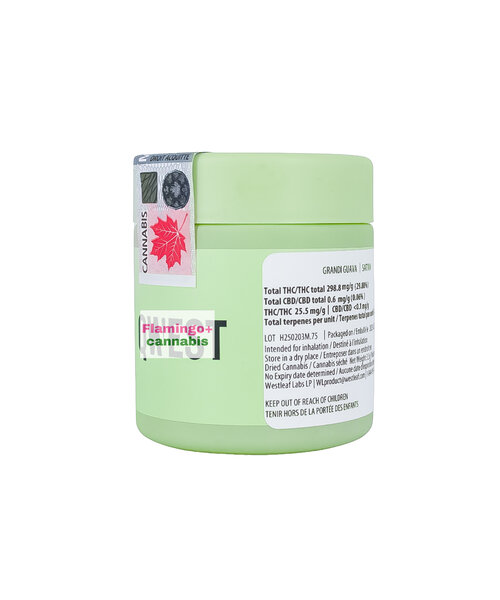 Qwest Grandi Guava Sativa Flower 3.5G