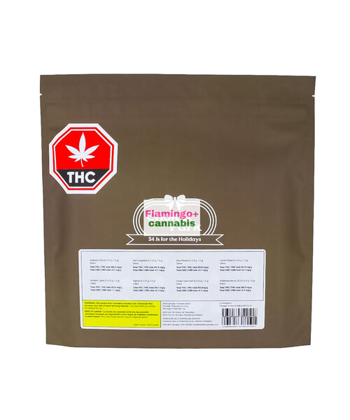 Choklit Park 24 Js For the Holiday Advent Calendar 24X0.5G