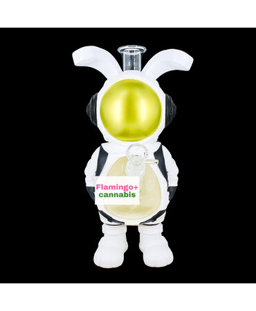 West Coast Gifts Lit Silicone 11.5" Astro Rabbit Water Pipe