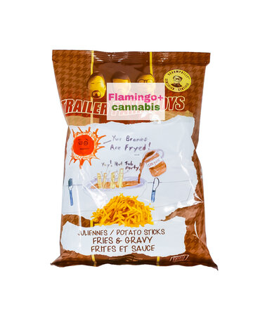 ExoSweet Misc. Trailer Park Boys Fries & Gravy Snack Stix