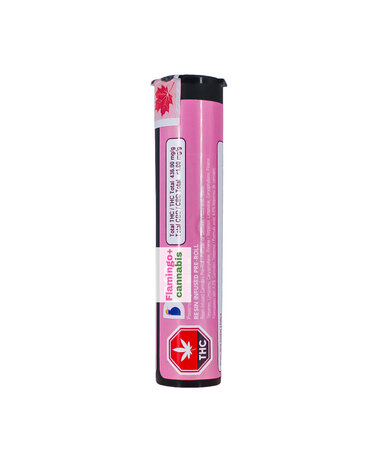 Dab Bods Dab Bods Pink Frozay Resin Infused Pre-Roll 1X0.5G
