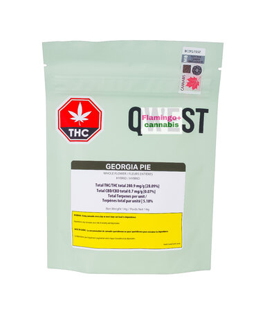 qwest Qwest Georgia Pie Craft Hybrid Flower 14G
