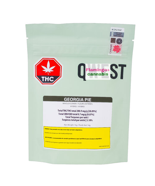 Qwest Georgia Pie Craft Hybrid Flower 14G