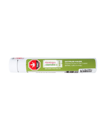 General Admission General Admission Citrus Haze Distillate Infused Sativa Pre-Rolls 5X0.5G