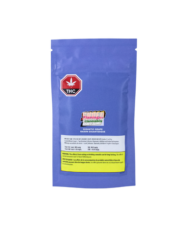 SHRED Shred Gigantic Grape Heavy Slims Indica Infused Cig Style Blunts 4X0.5G