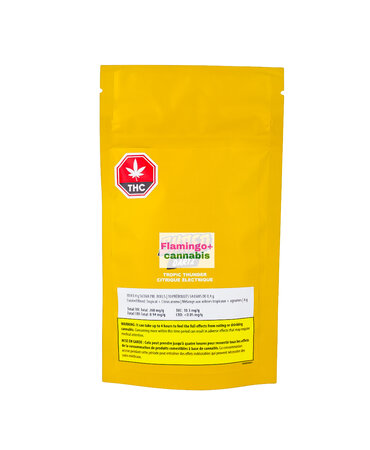 SHRED Shred Tropic Thunder Darts Hybrid Pre-Rolls 10X0.4G