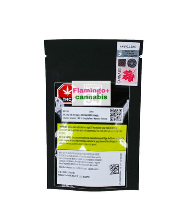 Four54 Four54 Route 66 Craft Sativa Flower 1G