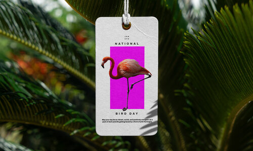 Manitoba Cannabis: National Bird Day 2026 | Flamingo+