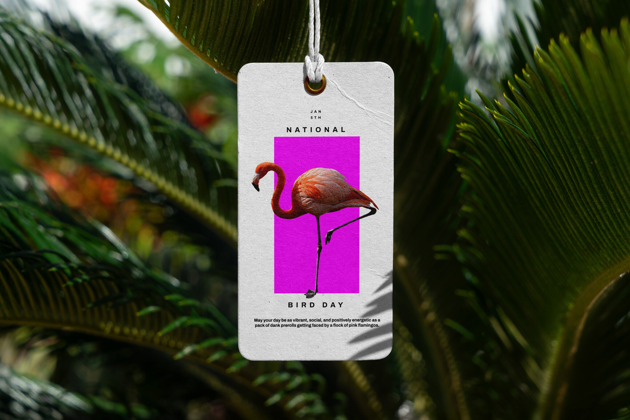 Manitoba Cannabis: National Bird Day 2026 | Flamingo+