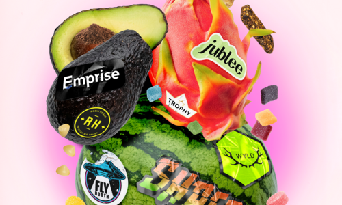 Winnipeg Vegan Cannabis Guide: Best Vegan Edibles for Veganuary at Flamingo+ (2026)