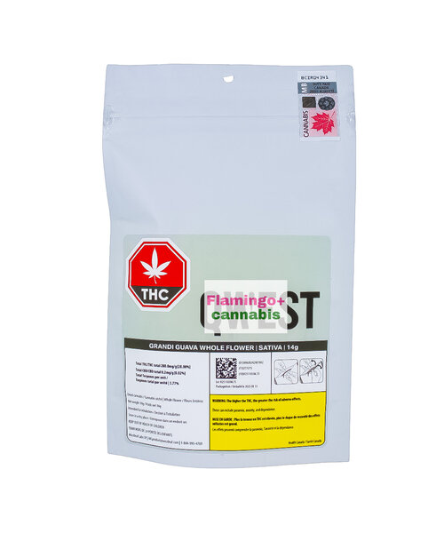 Qwest Grandi Guava Craft Sativa Flower 14G