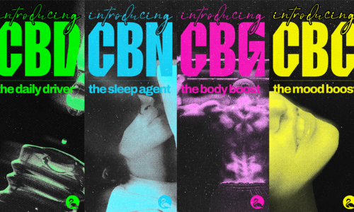 A Guide to CBD, CBN, CBG, & CBC