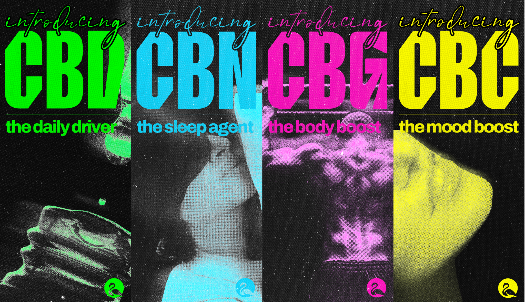 A Guide to CBD, CBN, CBG, & CBC