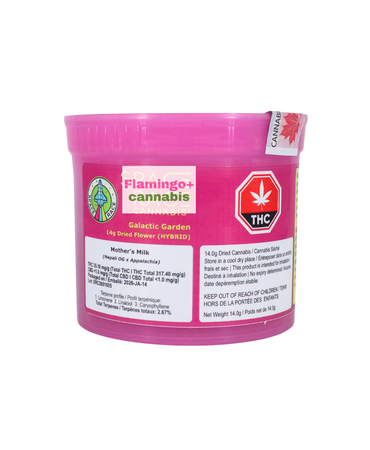 space race Space Race Galactic Garden Hybrid Flower 14G