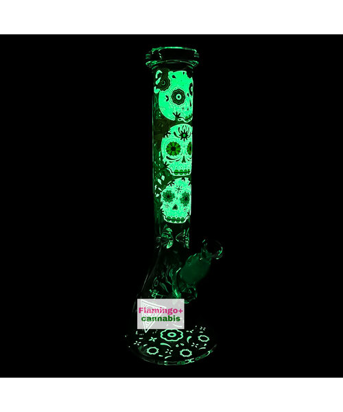 Red Eye Glass 15" Sugar Skull Glow-In-Dark Beaker Bong