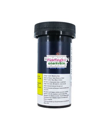 BROKEN COAST Broken Coast Blue Dream Craft Sativa Flower 7G