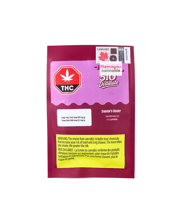 ness Ness Squish Berry Hybrid Cartridge 1G