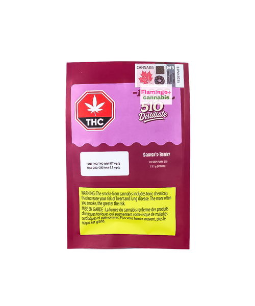 Ness Squish Berry Hybrid Cartridge 1G