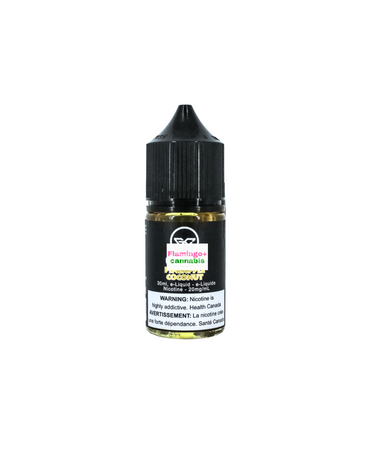 G Core G-Core Salt 30ml 20mg MB Pineapple Coconut