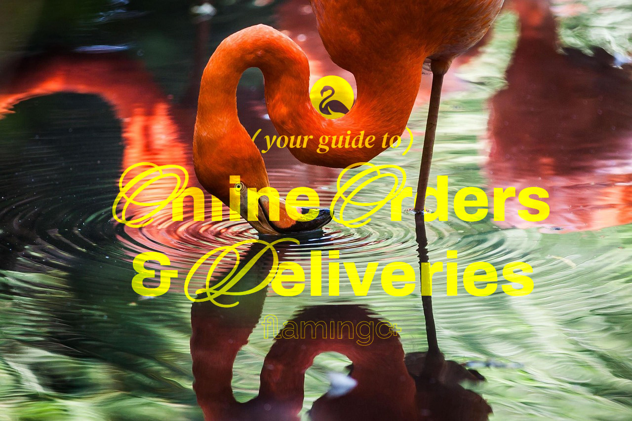 Ordering Online & Delivery Timelines