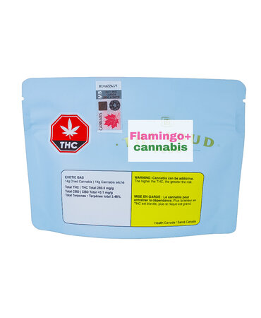 The Loud Plug The Loud Plug Exotic Gas Craft Indica Flower 14G