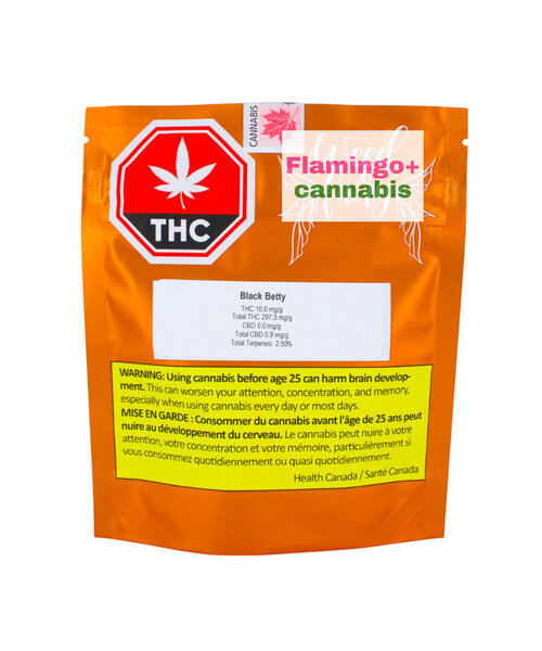 Weed Fairy Black Betty Sativa Flower 7G