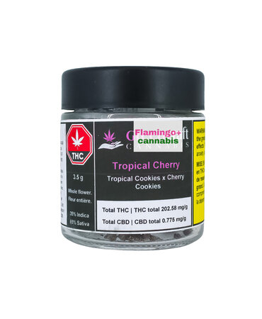 GreenCraft Cannabis GreenCraft Cannabis Tropical Cherry Craft Sativa Flower 3.5G
