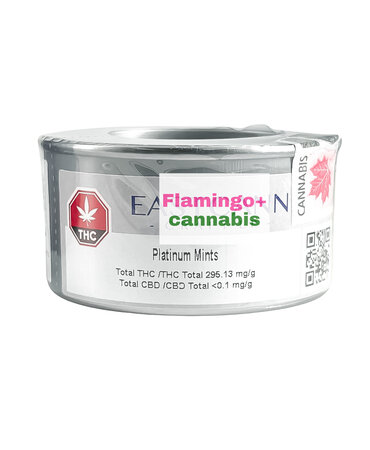 EastCann Eastcann Platinum Mints Craft Hybrid Flower 7G