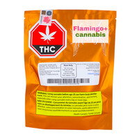 Weed Fairy Black Betty Sativa Flower 14G